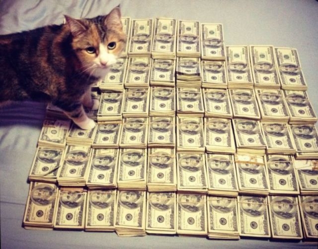 A Few Very Wealthy Cats 