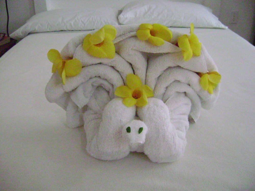 Odd Towel Origami.