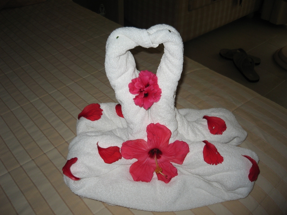 Odd Towel Origami.