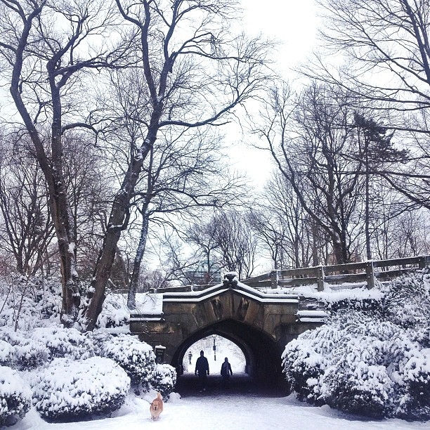 Fall in Love with NYC with Six Talented Instagrammers