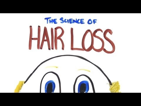 The Science of Balding 