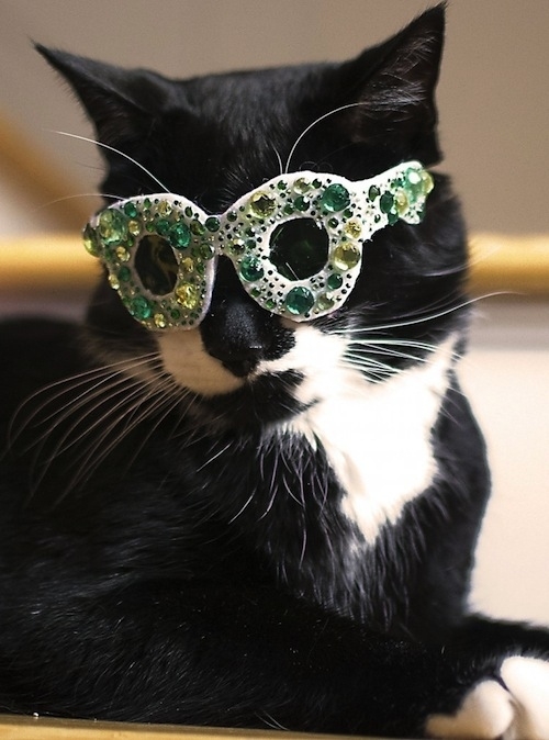 These Cats Are Ready For St. Patrick's Day