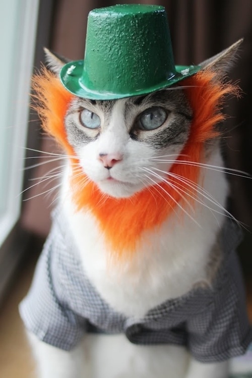 These Cats Are Ready For St. Patrick's Day