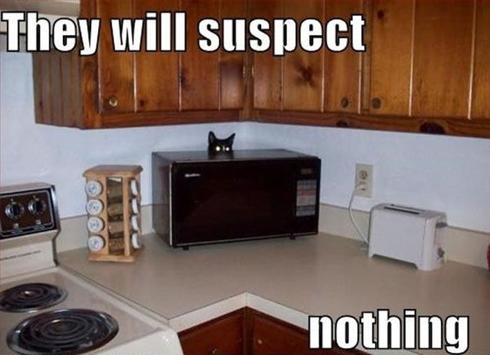 They Suspect Nothing