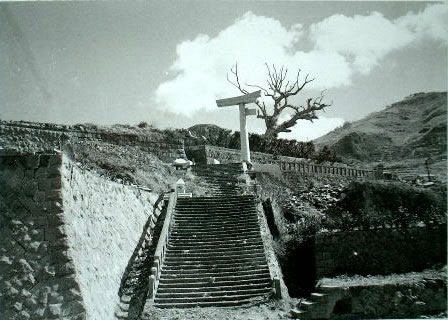 Hibaku Jumoku: The A-Bombed Trees That Survived Hiroshima 
