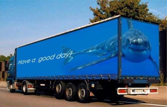 Shark Truck 