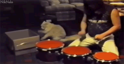 Kitty Drummer 
