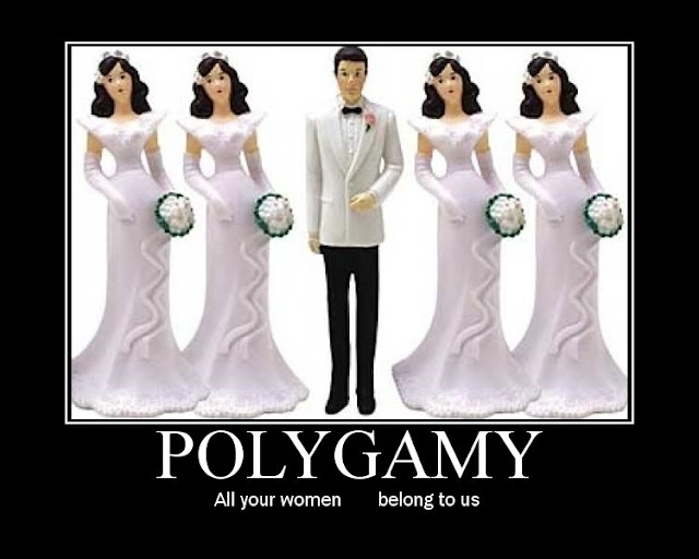 Polygamy 