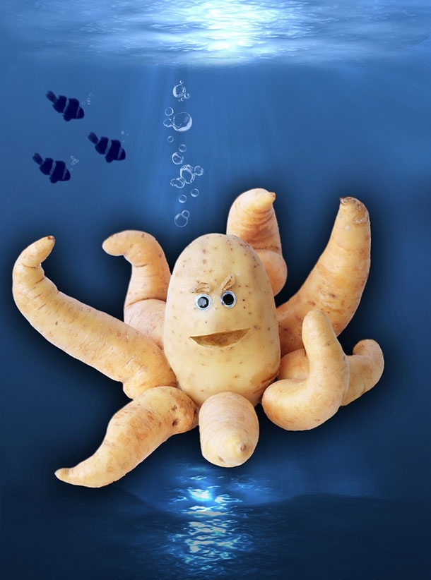 Potato Octopus 