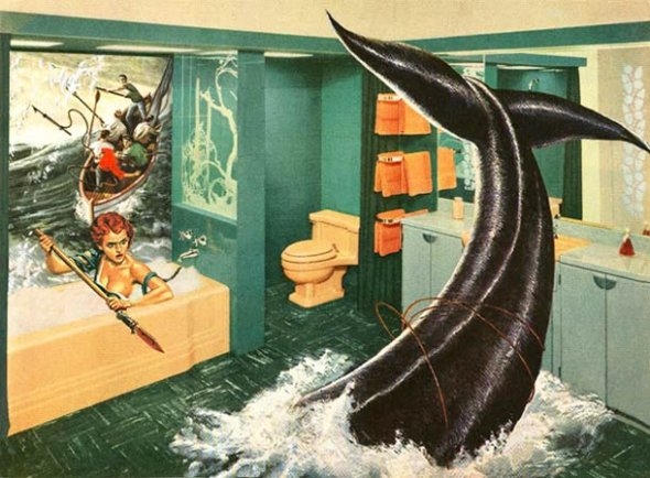 Whale In The Bathroom 