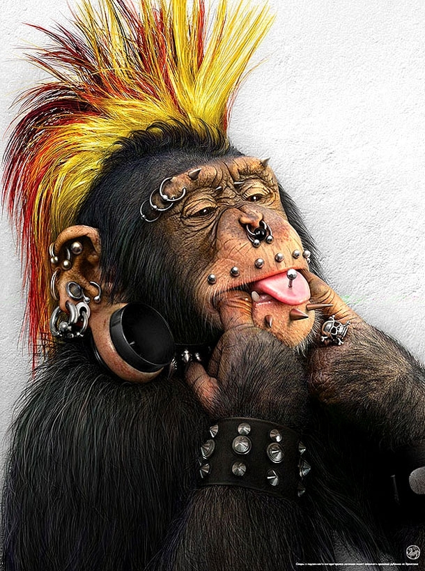 Punk Chimp 