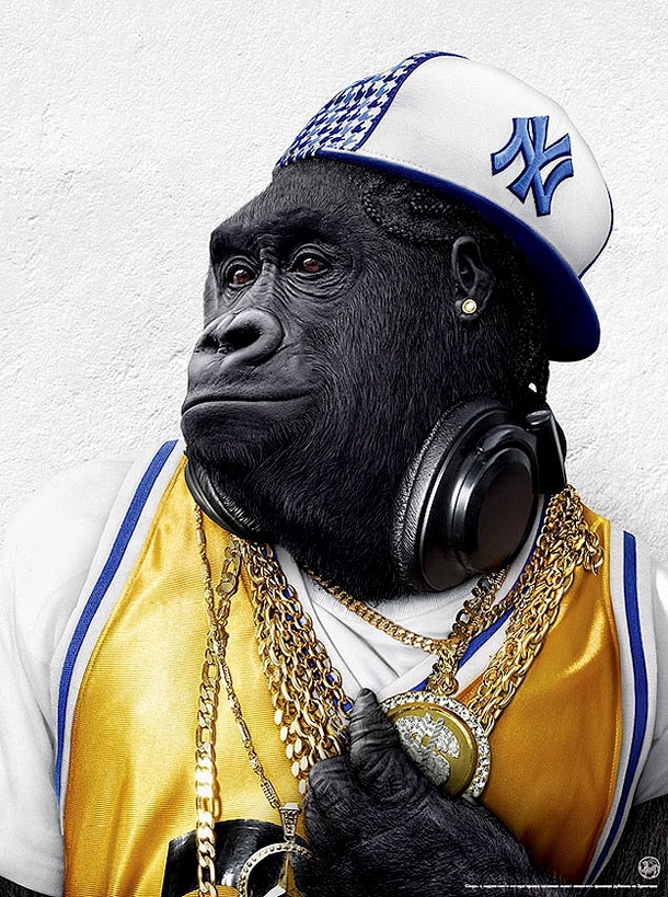 Rap Gorilla 