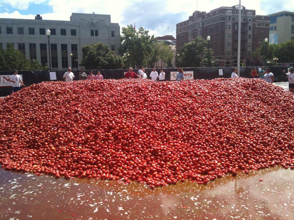 Thousands of Tomatoes 