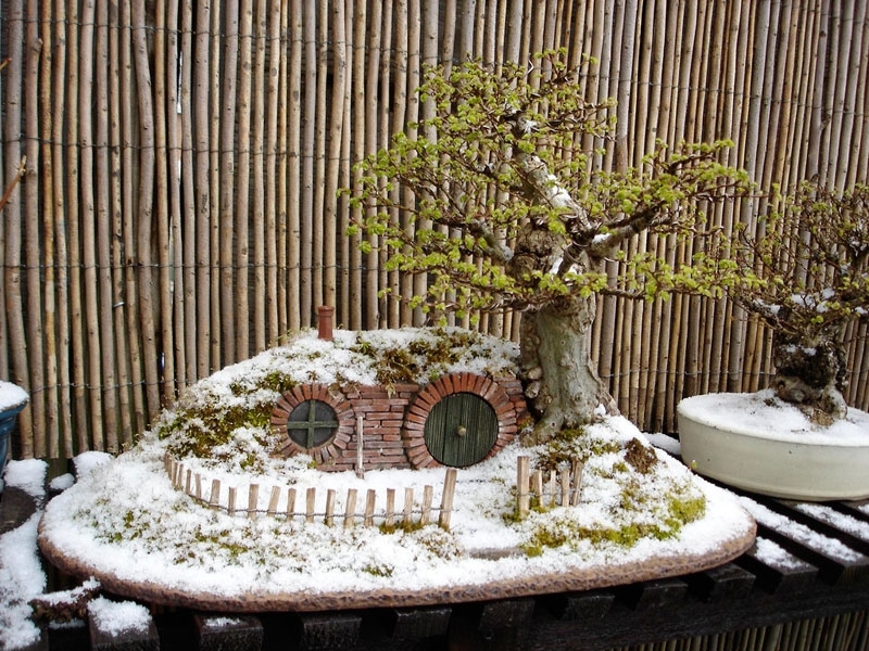 Bonsai Hobbit Home