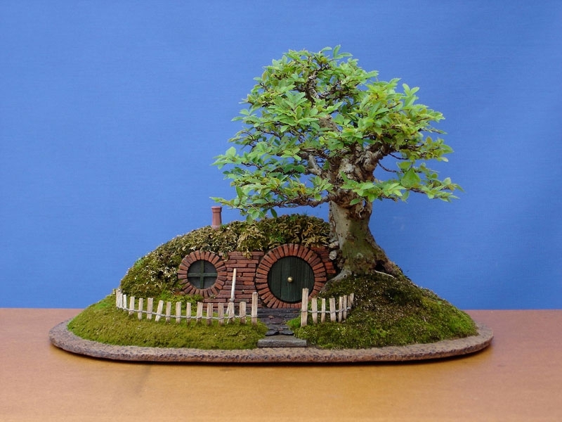 Bonsai Bilbo Baggins Hobbit Home