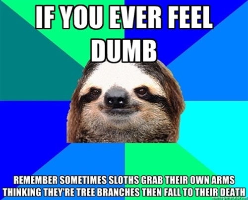 Dumb Sloths 