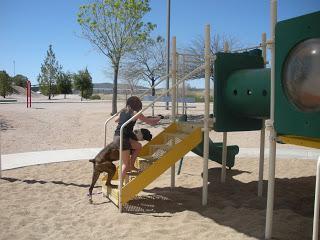 Playing At The Park 