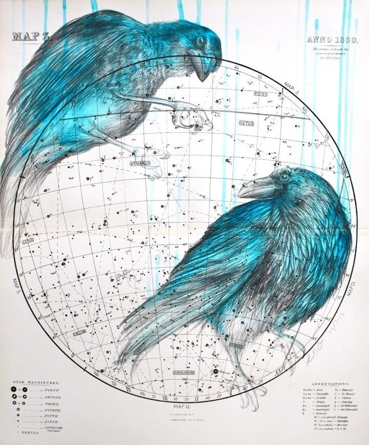Birds Painted Into Celestial Maps 
