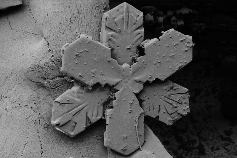 Microscopic Snow Crystals 