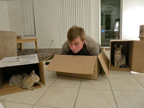 Everyone Loves Boxes 