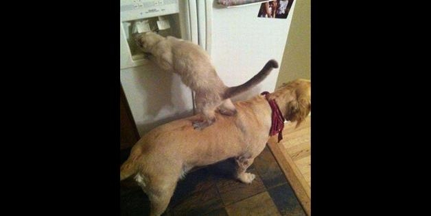 Teamwork 