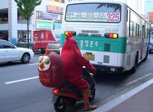 Chicken Delivery 