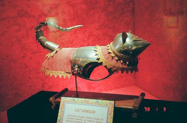 Cat Armour