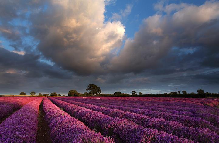 Clouds Above The Field 