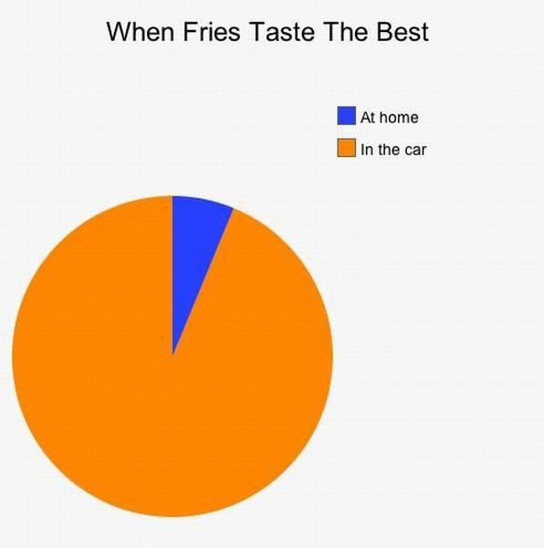 Fries Taste Delicious In The Car 