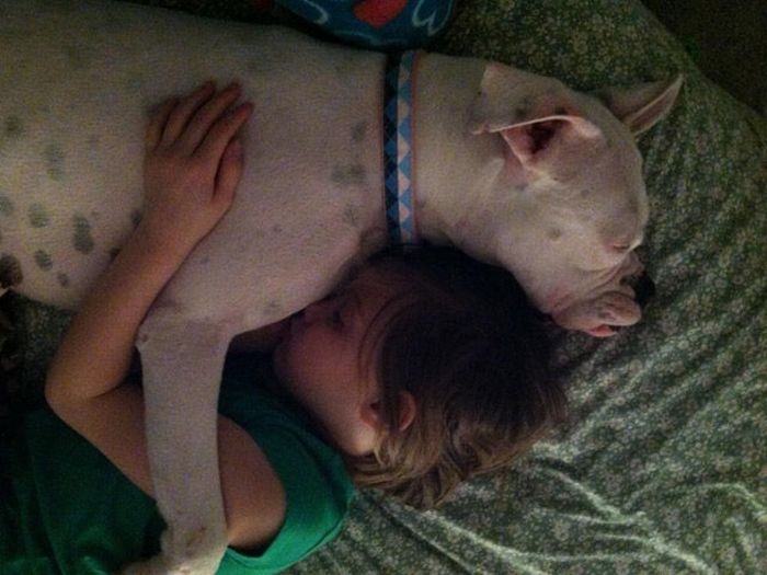 Big Pup Sleeping With Girl 