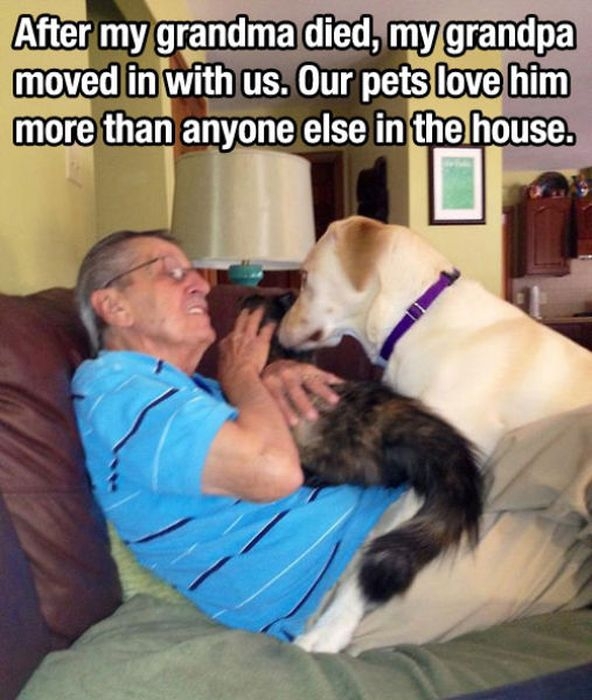 Pets Love Grandpa 