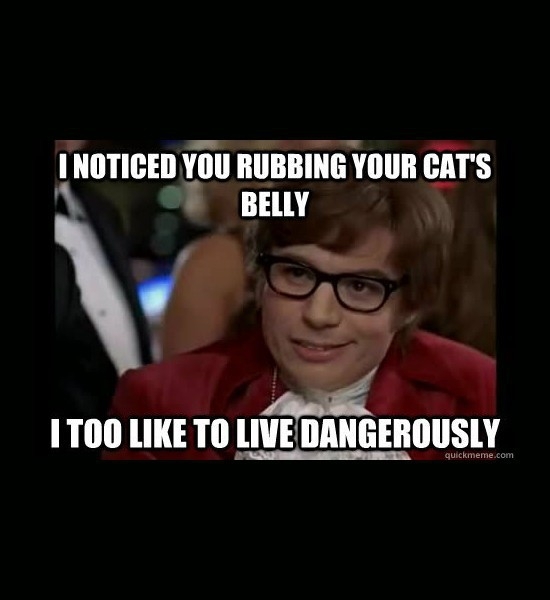Cat Belly Rub 