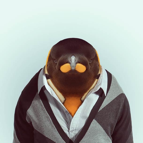 Penguin 