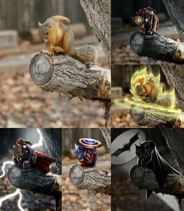 Powerful Squirrel 