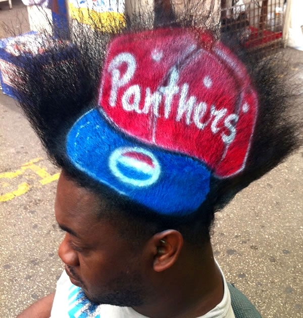 Panthers Mohawk 