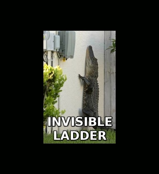 Invisible Ladder 