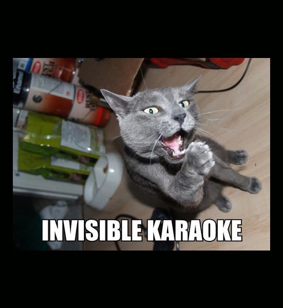 Invisible Karaoke 