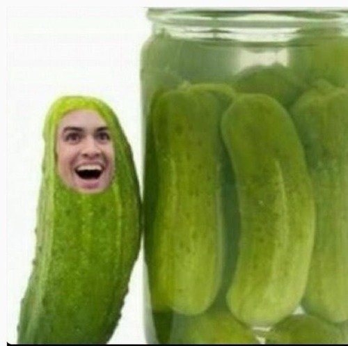 Pickle Man 