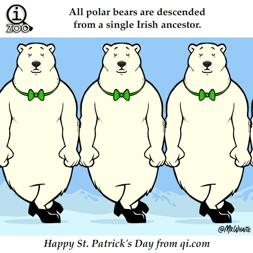 Irish Polar Bears 