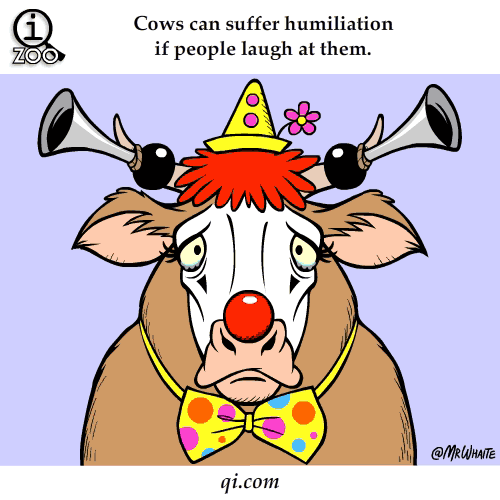 Humiliated Cows 