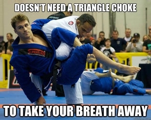 Triangle Choke 