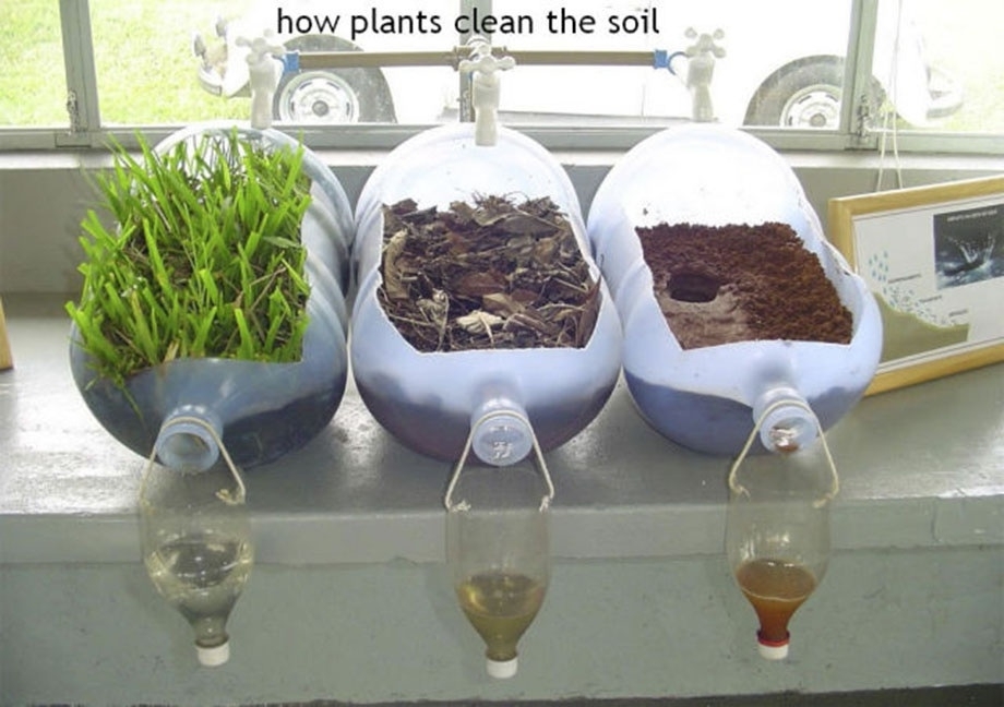Plants And Soil 