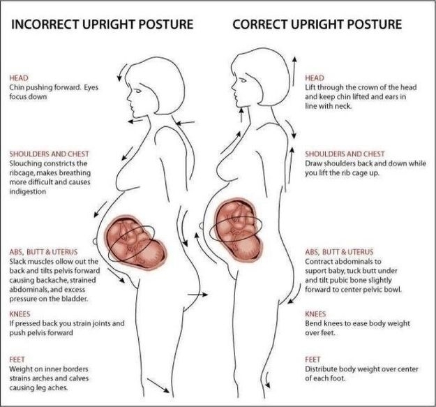 Correct Upright Posture 