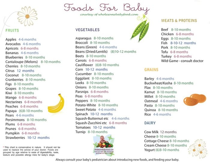 Foods For Baby 