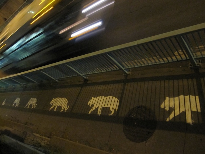 Animals Crossing 