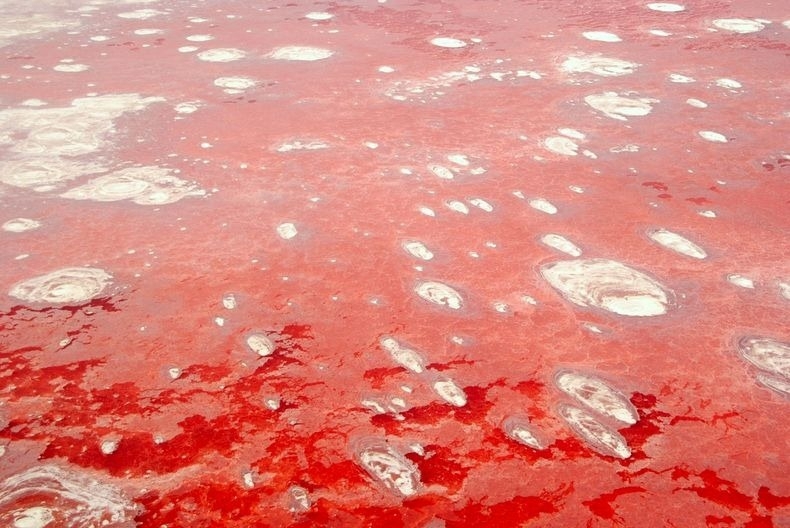 Lake Natron