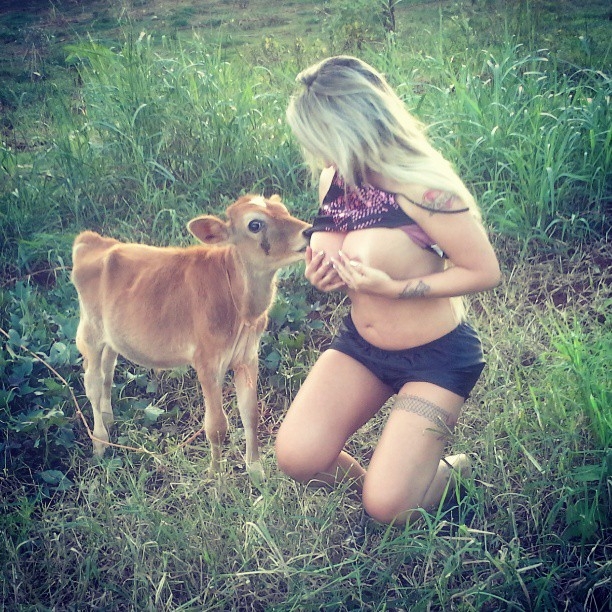 Sabrina Boing Boing attempting to Breast feed baby calf 