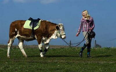walking Her Cow 