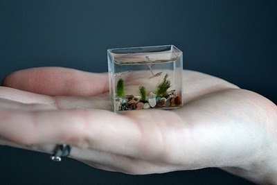 Miniature art by Anatoly Konenko 