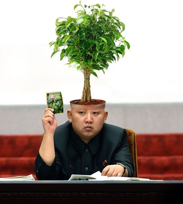 Kim Jong-Un Tree Head 